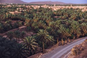 7 Days Desert Tour From Marrakech To Erg Chigaga