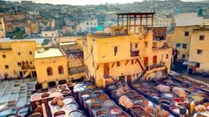 things to do in fes