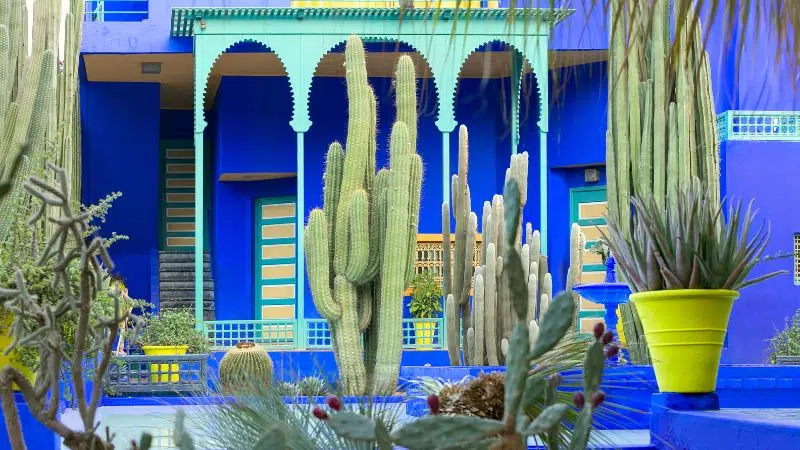 %Bespoke Morocco Desert Tours %Morocco Desert Tours From Marrakech